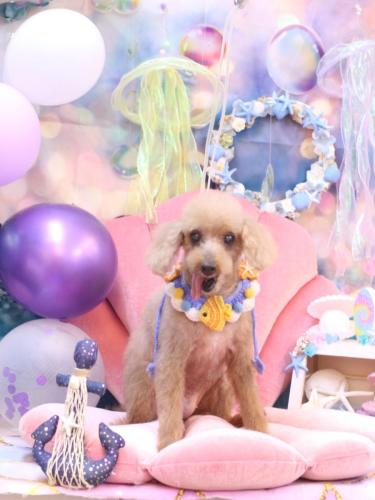 20240827モカちゃん